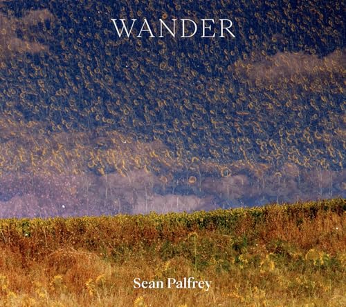 Sean Palfrey: Wander