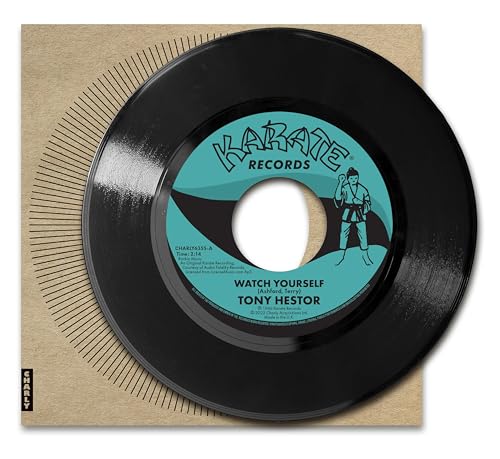 Black vinyl record with turquoise label featuring a karate practitioner.
