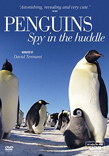 DVD cover featuring emperor penguins in a snowy landscape.