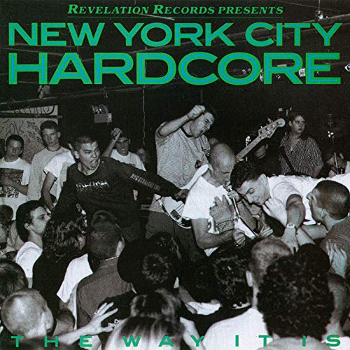 Crowd at a hardcore punk show with band performing on stage.