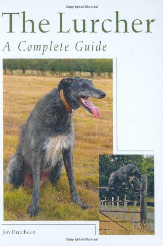 The Lurcher: A Complete Guide