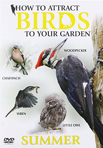 DVD cover featuring a woodpecker, owl, chaffinch, and wren.