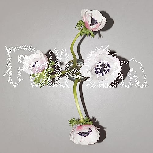 Album cover featuring white anemones and sketched lettering on gray.
