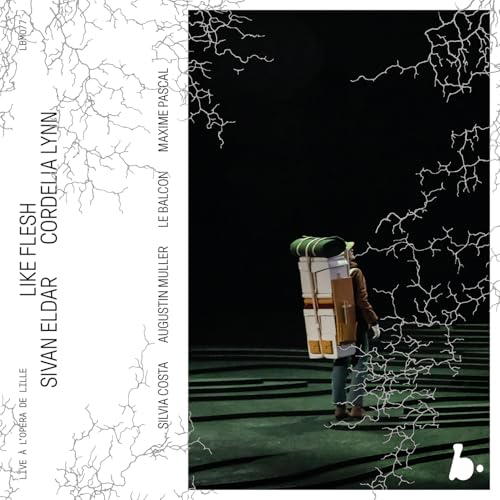 CD cover with a person carrying stacked luggage in a striped room.