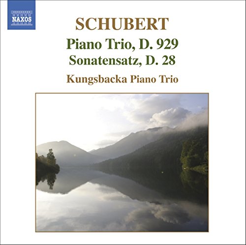 CD cover for Schubert piano trio featuring a mountain landscape.