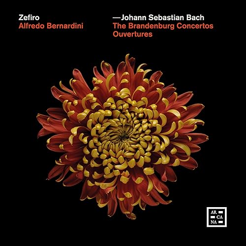 Album cover with text and a red and yellow chrysanthemum on black background.
