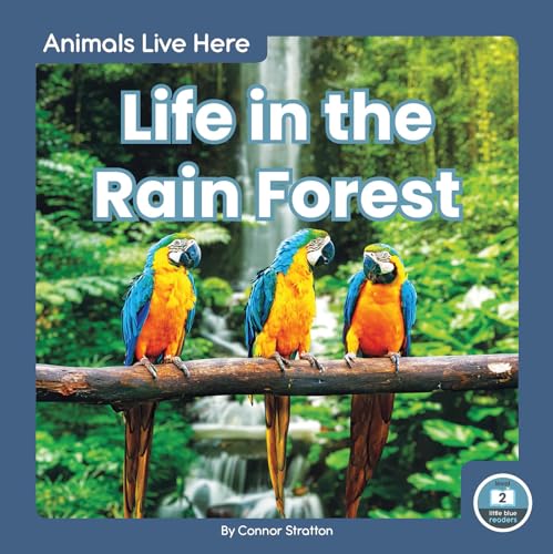 Life in the Rain Forest