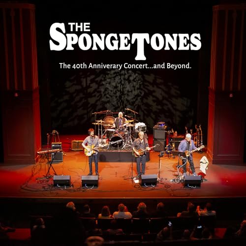 The Spongetones band performing on a stage with an audience.