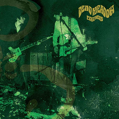 CD cover for Dead Meadow’s “Feathers” with a green-toned, blurred band image.