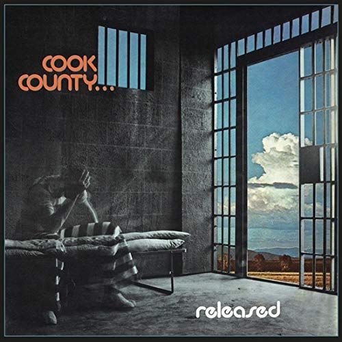 Cook County… Released CD cover: person by a window, landscape view.