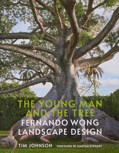 The Young Man and the Tree : Fernando Wong Landscape Design