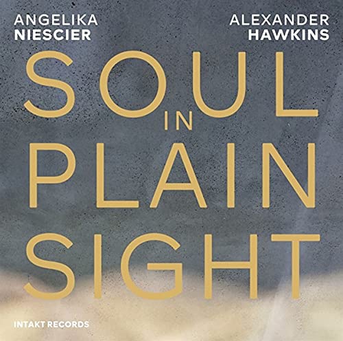CD cover for "Soul In Plain Sight" by Niescier & Hawkins.