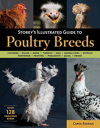 Storey's Illustrated Guide to Poultry Breeds : Chickens, Ducks, Geese, Turkeys, Emus, Guinea Fowl, Ostriches, Partridges, Peafowl, Pheasants, Quails, Swans