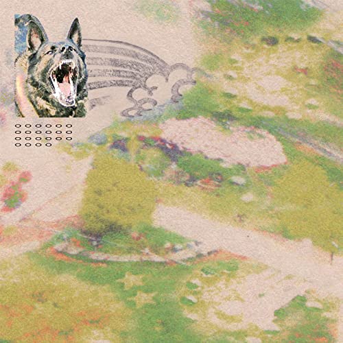 A snarling dog head over a textured, faded landscape with a stylized wave graphic.