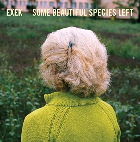 Album cover: woman with blonde curly hair seen from behind in a field.