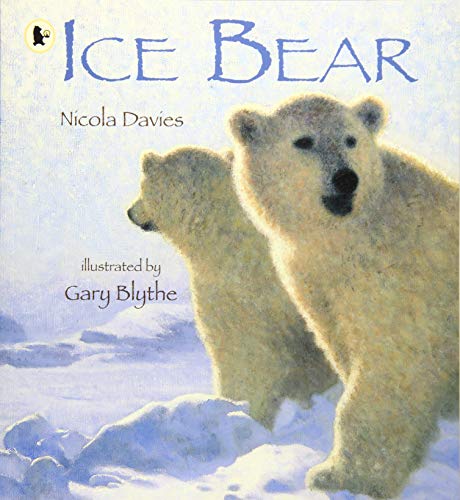 Ice Bear