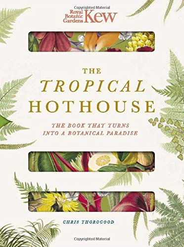 The Tropical Hothouse (Royal Botanic Gardens, Kew) (Paperscapes)