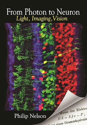 From Photon to Neuron: Light