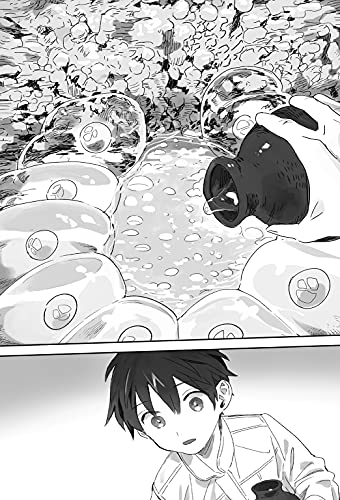 By The Grace Of Gods Light Novel Sc Vol 09