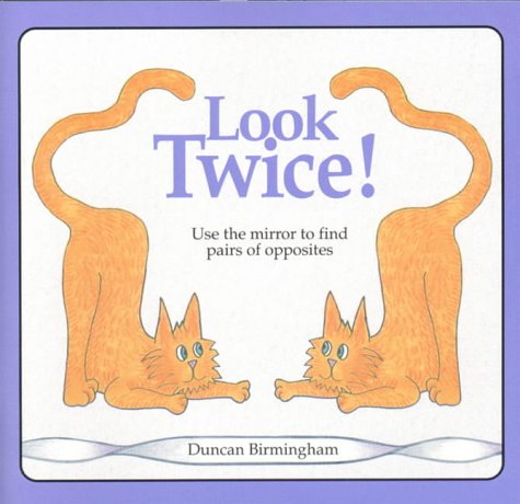 Look Twice : Use the Mirror to Find Pairs of Opposites