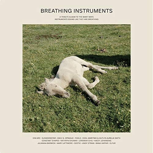 Vinyl album cover: a light-colored dog rolling in a green grassy field.