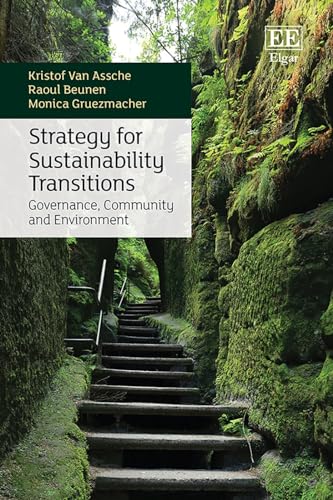 Strategy for Sustainability Transitions : Governance, Community and Environment