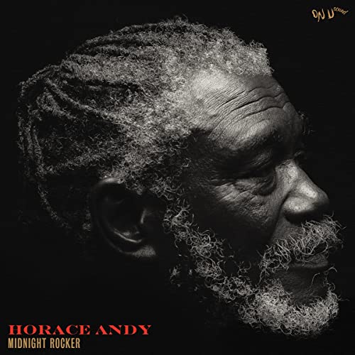 Close-up portrait of Horace Andy with long, white dreadlocks, album cover.