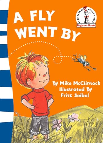 Book cover: boy looking at a fly, orange background, blue stripes.