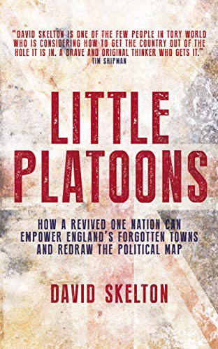 Little Platoons: How a revived One Nation can empower England's forgotten towns and redraw the political map
