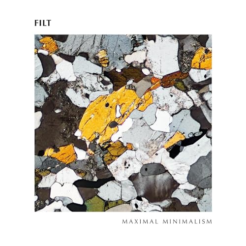 Album cover for Filt’s “Maximal Minimalism” featuring a microscopic, colorful rock texture.
