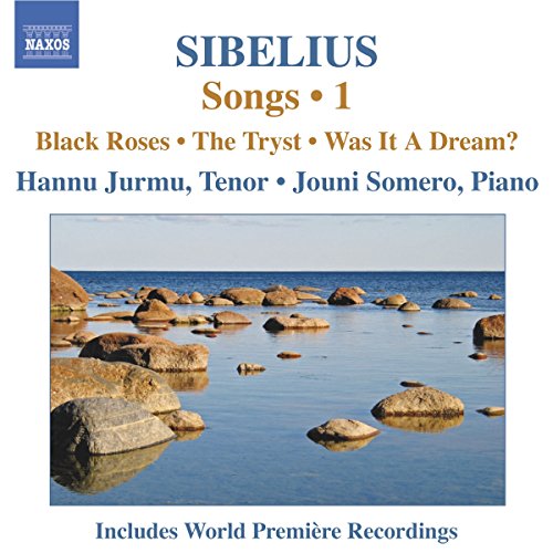 CD cover for Sibelius songs with a coastal rocky landscape.