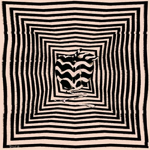 Black and white abstract album cover with concentric squares and a face.