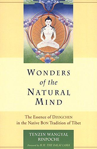Book cover with a central image of a meditating figure in lotus position.