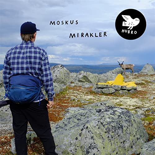 Person with backpack views reindeer on rocky, mossy landscape.