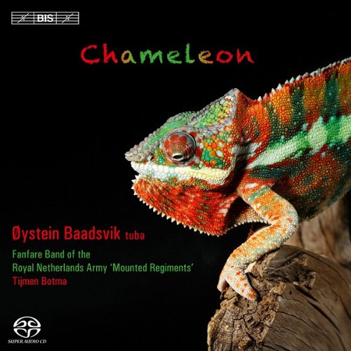 CD cover featuring a vibrant chameleon on a branch, with text details.