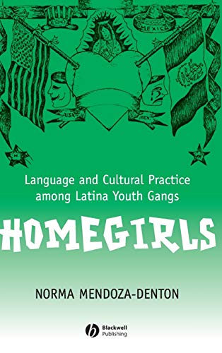 Homegirls: Language and Cultural Practice Among Latina Youth Gangs