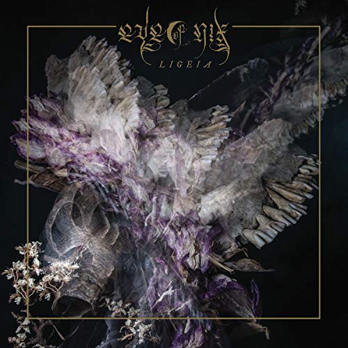 CD cover with abstract, dark imagery of wings and floral elements.