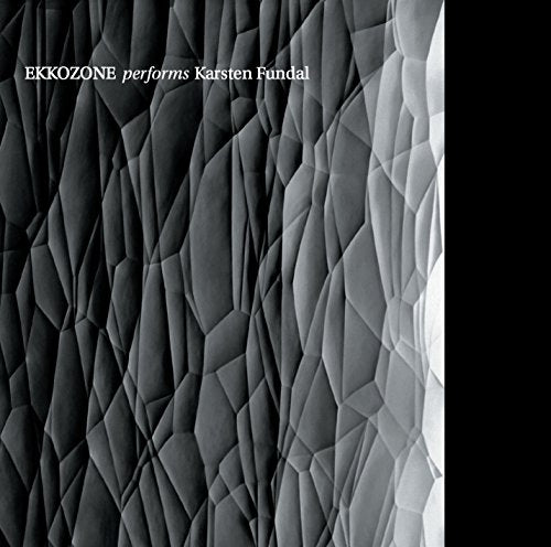 CD cover for Ekkozone performing Karsten Fundal, abstract gray texture.