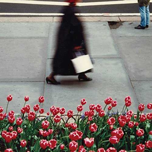 Blurred figure walking with shopping bag over red tulips.
