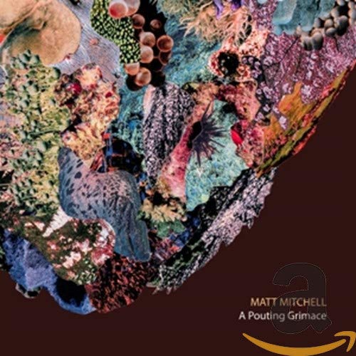 Collage of organic textures forming a partial face, album cover art.