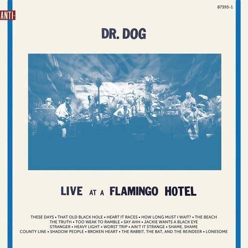 Dr. Dog album cover: band performing onstage with blue and white tones.