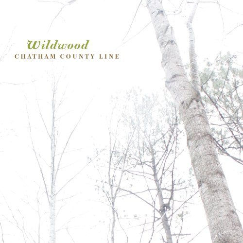 Album cover for "Wildwood" featuring a blurred, upward view of trees.
