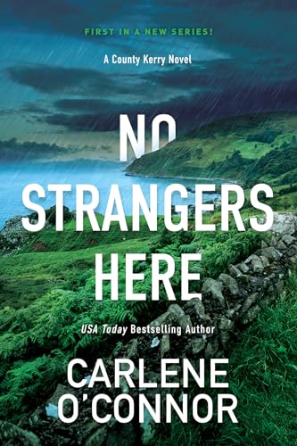 No Strangers Here : A Riveting Dark Irish Mystery