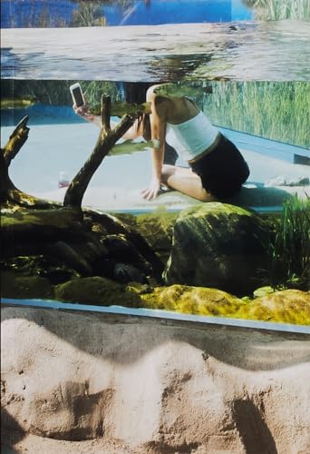 Aquarium