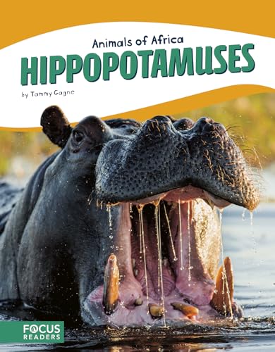 Hippopotamuses