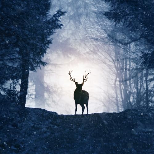 Blu-ray case for "Prancer," featuring snowy forest imagery and a young deer.