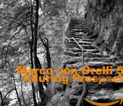CD cover with a grayscale image of stairs ascending a rocky hillside.