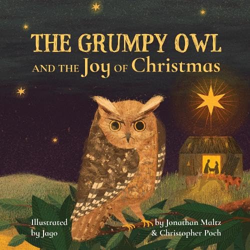 Book cover: grumpy owl perched on a branch, Christmas scene background.