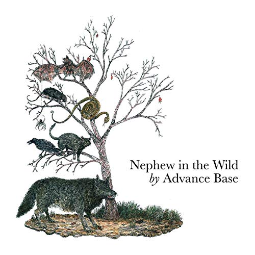 CD cover: wolf, tree with animals, and text “Nephew in the Wild”.