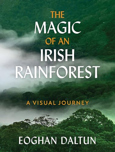 The Magic of an Irish Rainforest